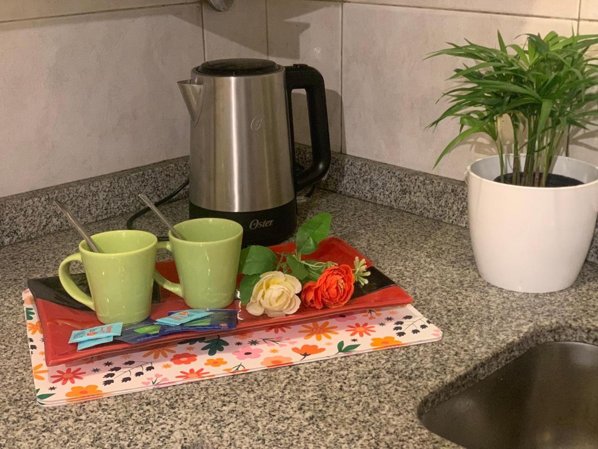 Terrazas De Colon 11 Apartman Mendoza Kültér fotó