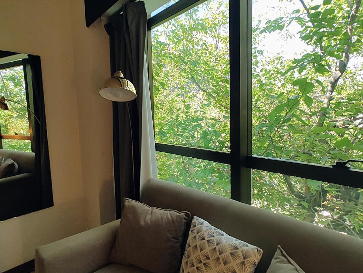 Terrazas De Colon 11 Apartman Mendoza Kültér fotó
